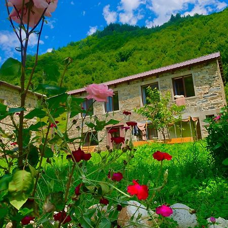 Гостевой дом SVANETI Местия Экстерьер фото