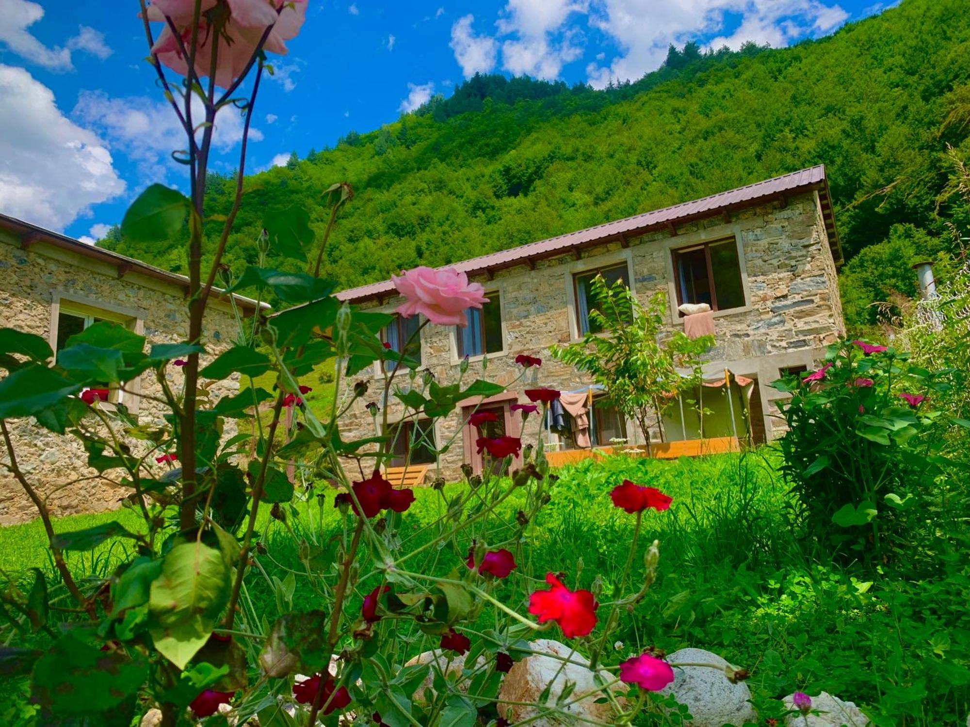 Гостевой дом SVANETI Местия Экстерьер фото